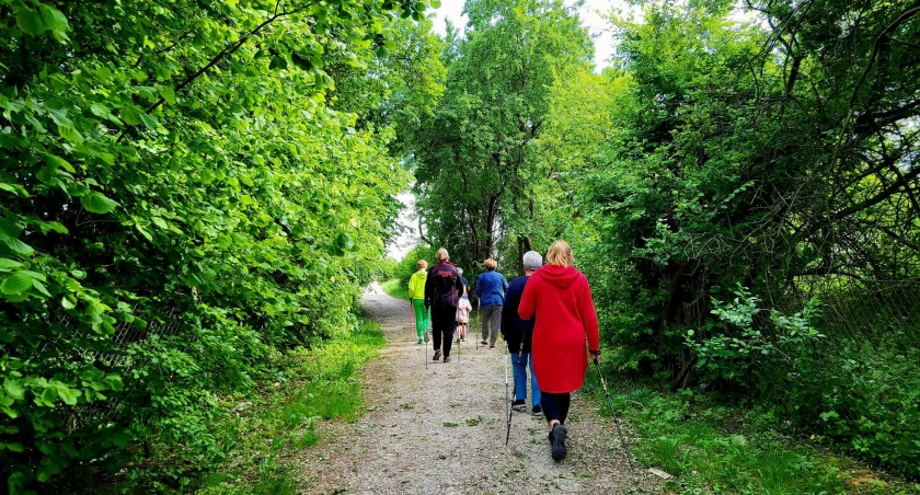 Warsztaty techniki Nordic Walking odbyły się w Kcyni (zdjęcia)