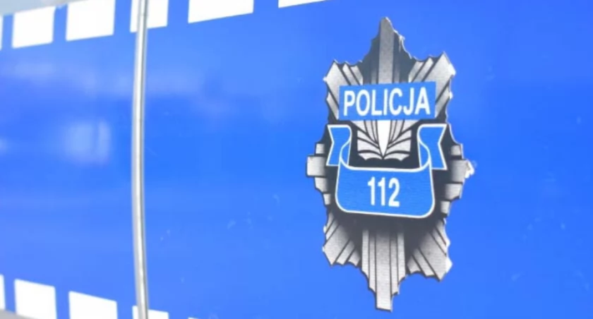 Po pijaku uderzyła w sarnę