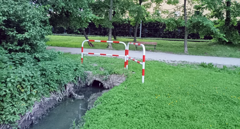 Ścieki płyną rowem obok pomostu do Małego Jeziora Żnińskiego 
