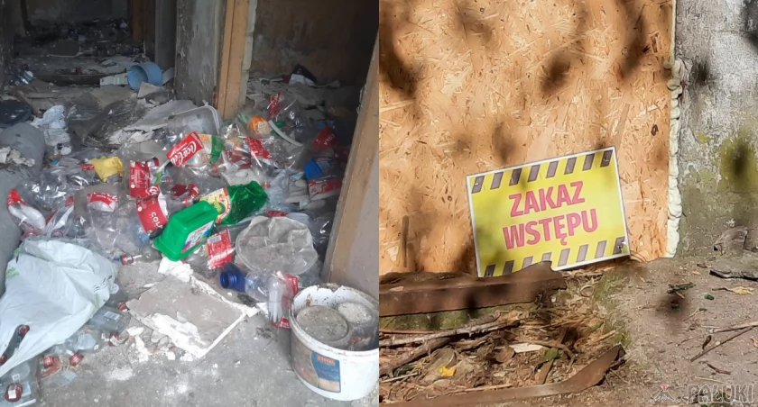 Kolej sprząta zaśmiecony teren w Janowcu Wlkp. 