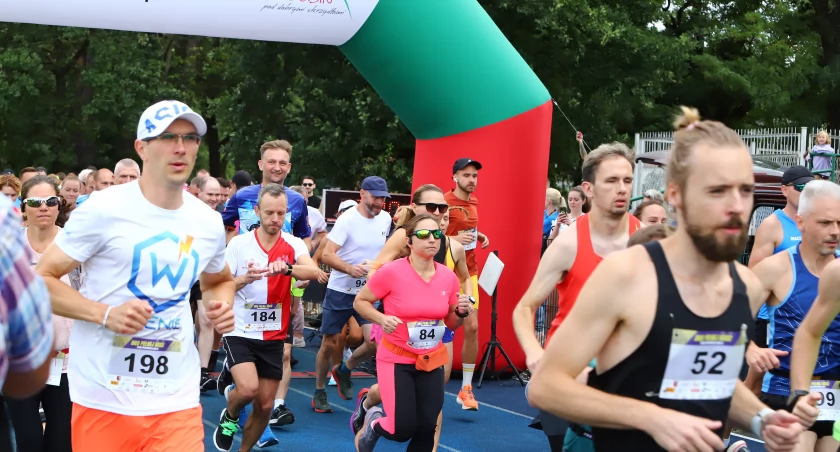 Pobiegną po pełną miskę karmy dla zwierząt