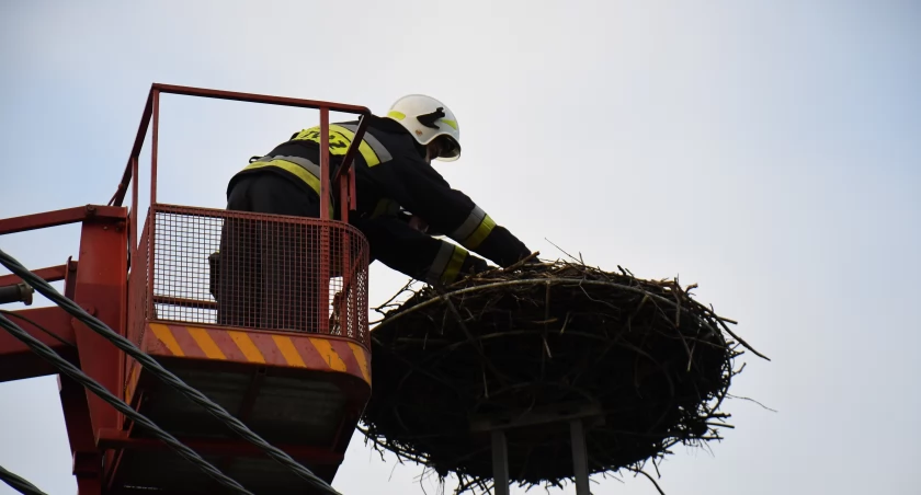 Bociek jest rehabilitowany