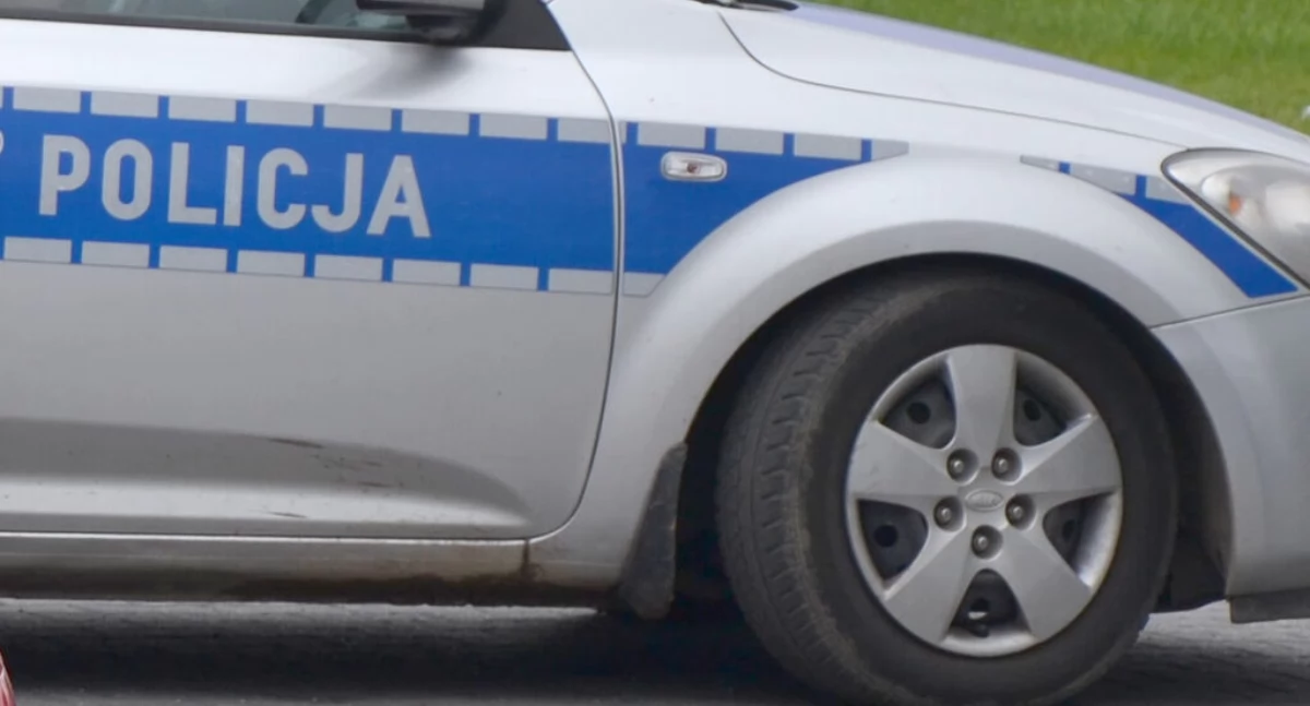 3 promile za kierownicą i w las