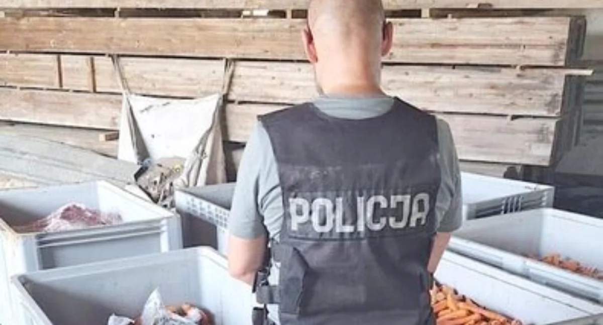 177 kilo narkotyków w marchewkach