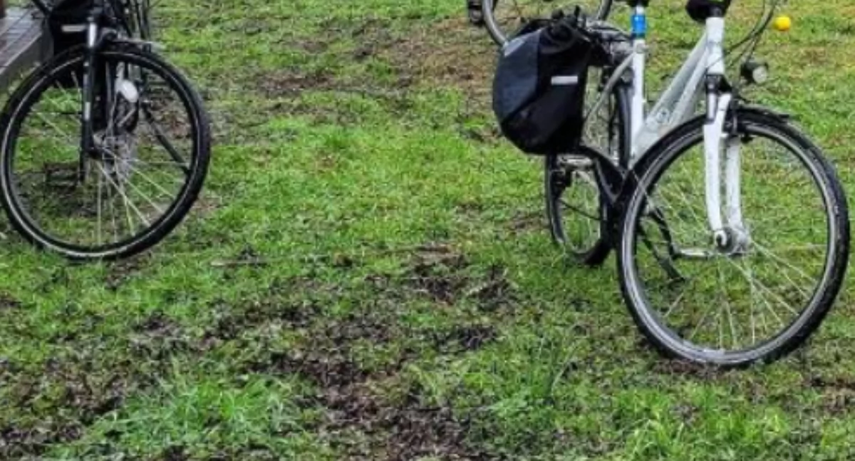 Rowerzyści z promilami