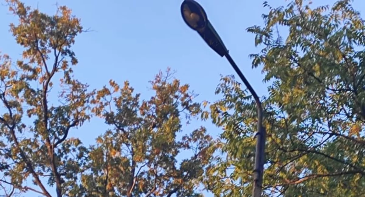 Skradzione kable pozbawiły parafian z Łabiszyna światła