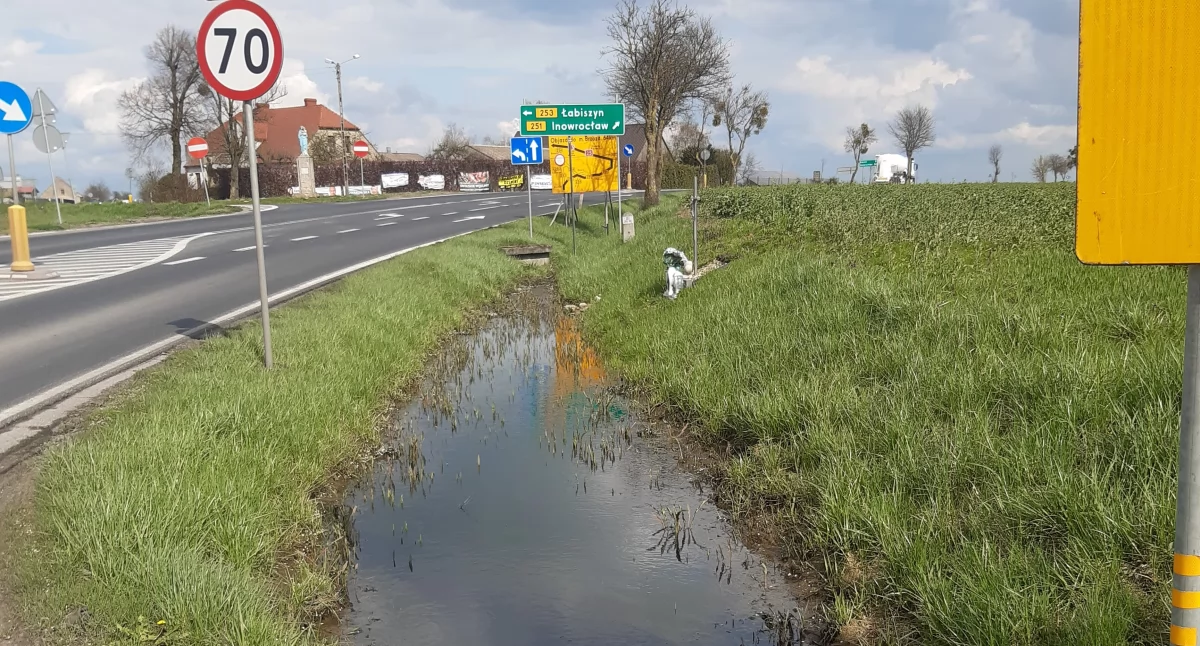 Nie ma już być okresowego jeziora w Murczynie
