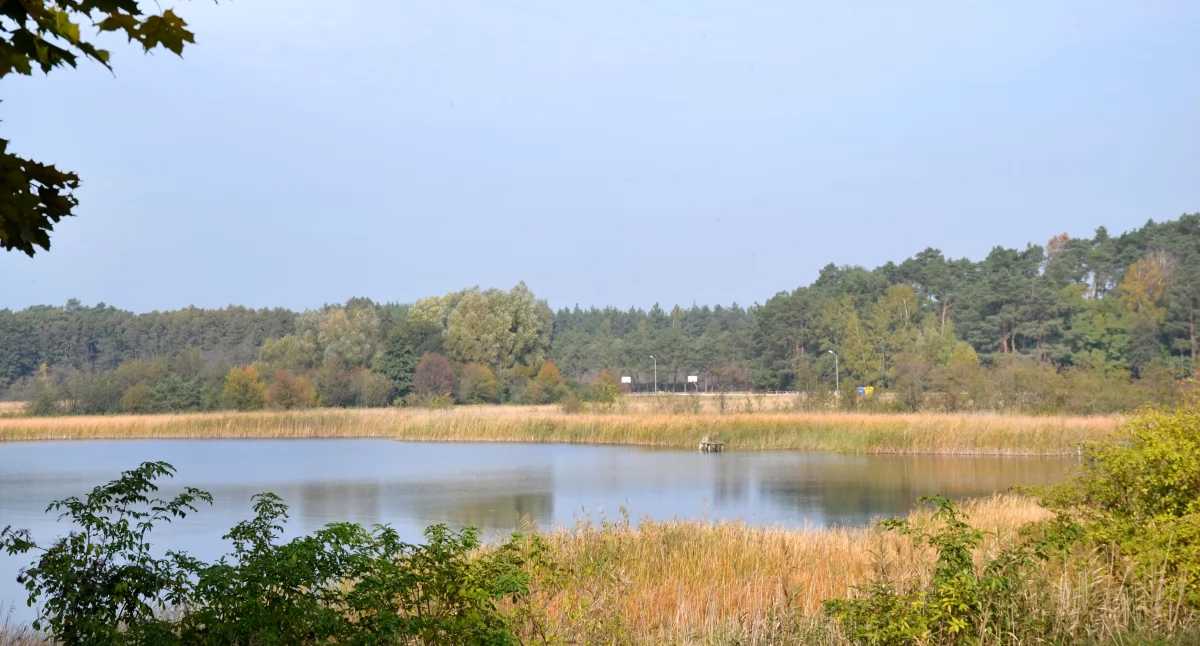 Działki pod okiem prokuratury (5)