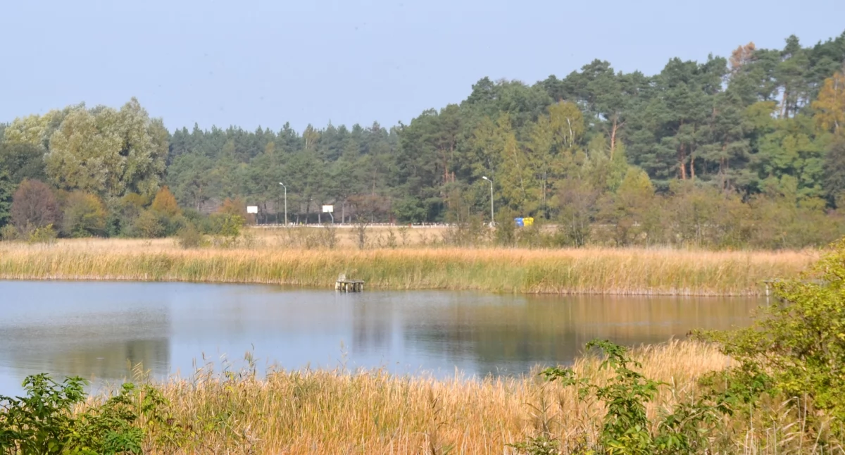 Przełożeni nie chcą wiedzieć (7) 