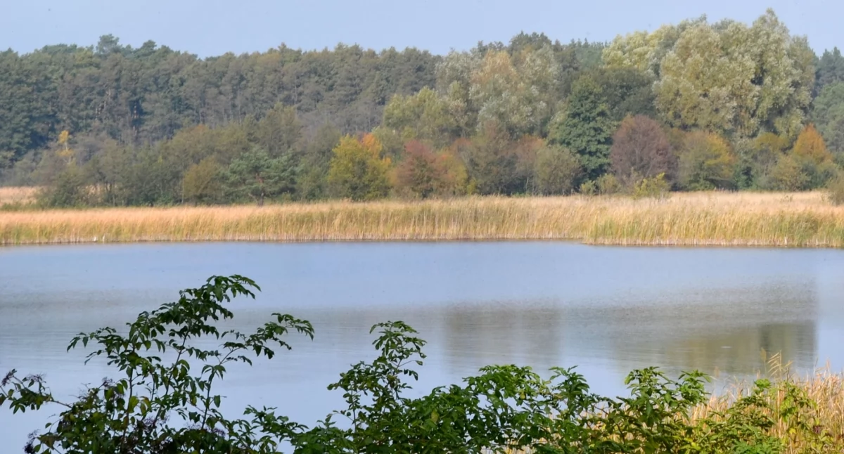Sprzedana jedna na pięć