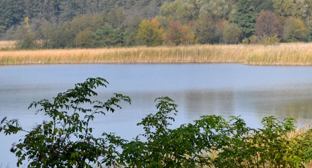 Po kilkunastu chętnych na jedną działkę