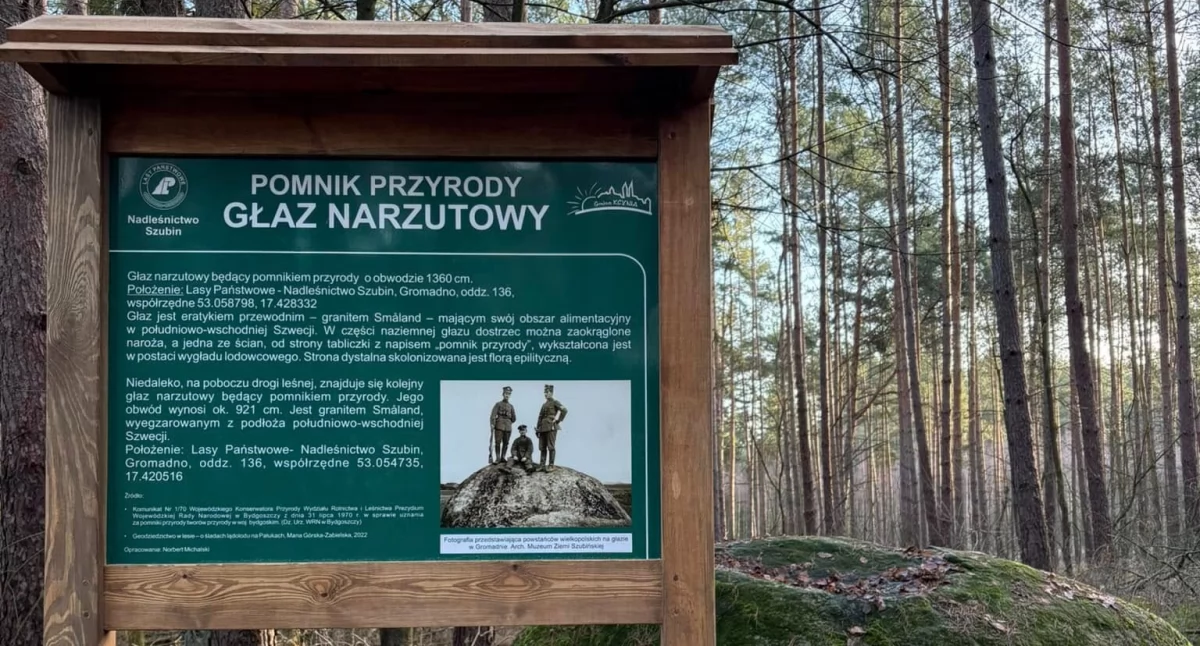 Głazy narzutowe, pomniki przyrody w gminie Kcynia opisane i oznaczone