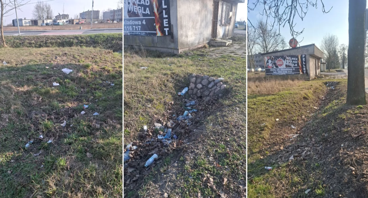 Cerekwica ma problem śmieciowy
