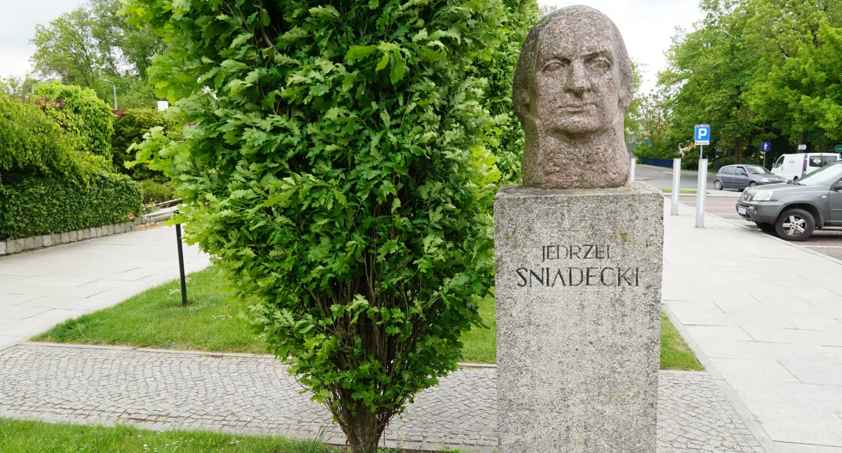 Jędrzej Śniadecki bliżej rynku