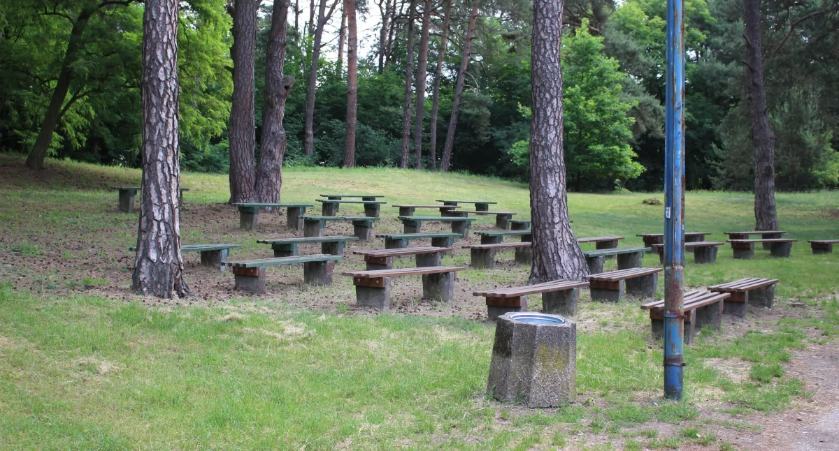 Czy drzewa dają cień, czy stwarzają zagrożenie pożarowe?