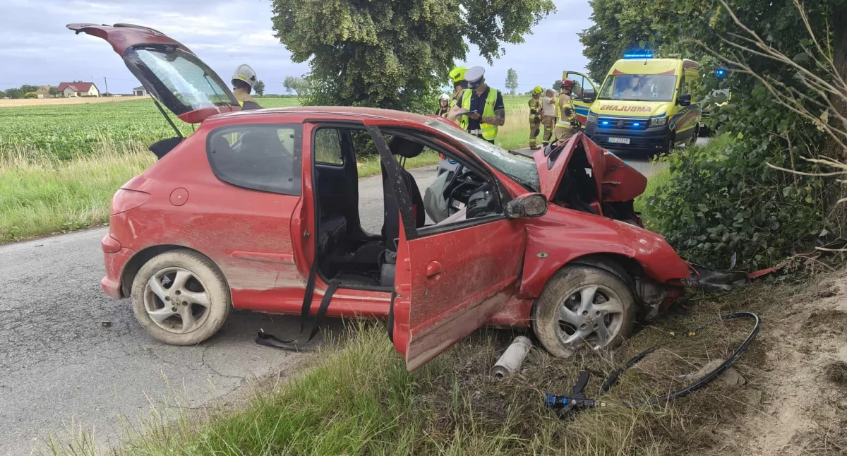 Peugeot z nastolatkami uderzył w drzewo, pięcioro poszkodowanych, jedną z dziewcząt do szpitala zabrał śmigłowiec