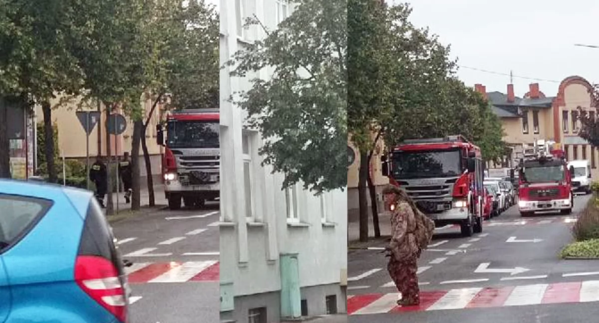 W końcu wykryto, gdzie znajduje się gniazdo os w żnińskim ratuszu 