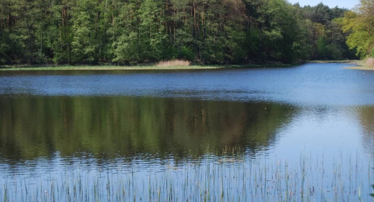 Zatrucie na obozie młodych strażaków. Druhowie z Szubina są bezpieczni, zostali na obozie
