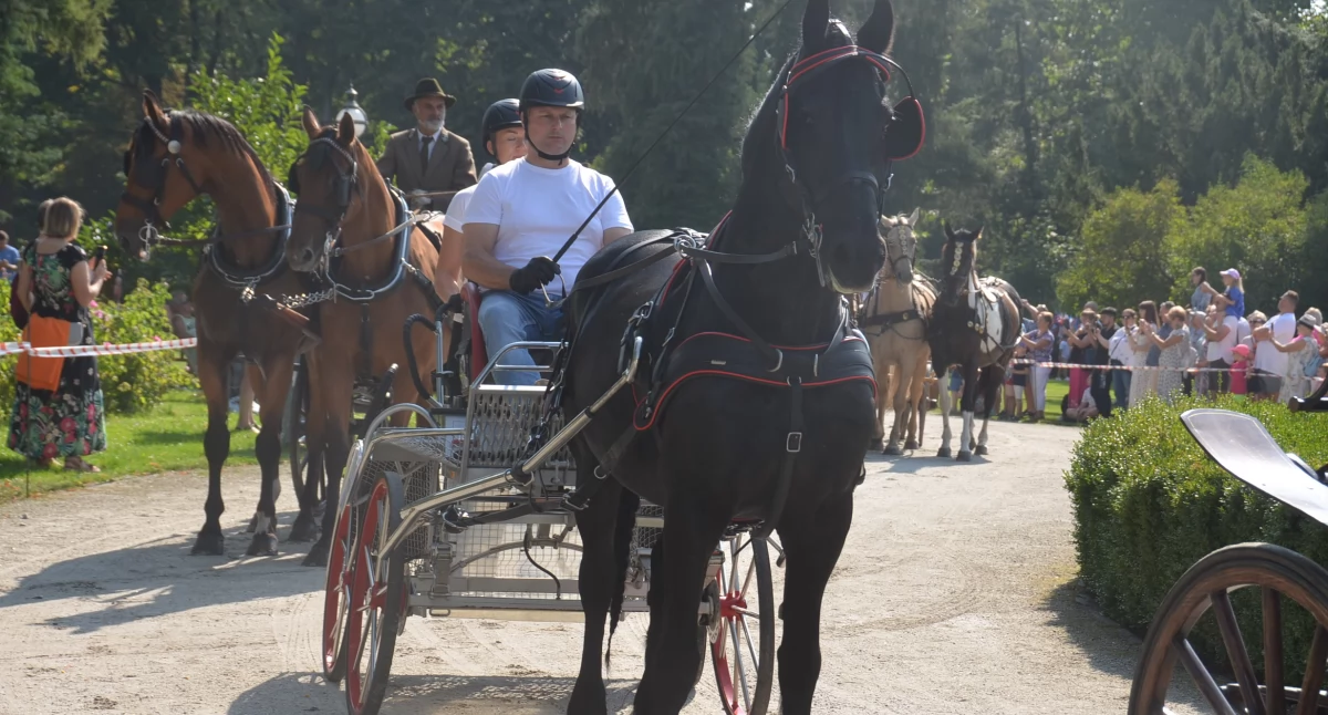Do Lubostronia zawitają koniarze. Historyczne zaprzęgi zaprezentują się na terenie zespołu pałacowo-parkowego