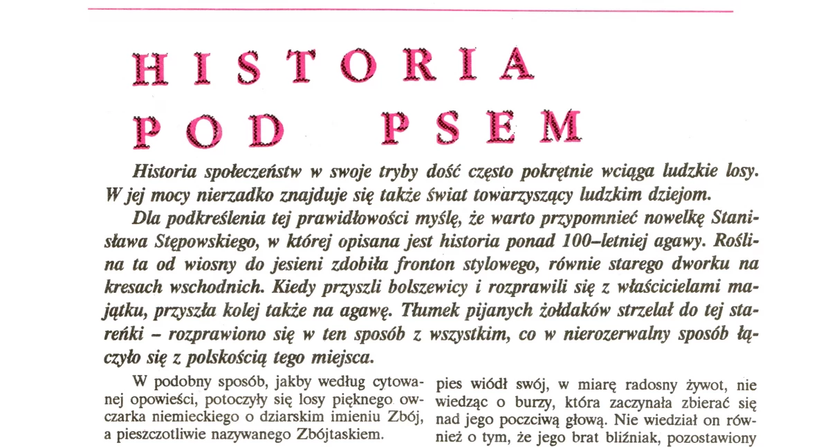 Historia Zbója z Gąsawy - psa między bandytami, Niemcami i Sowietami
