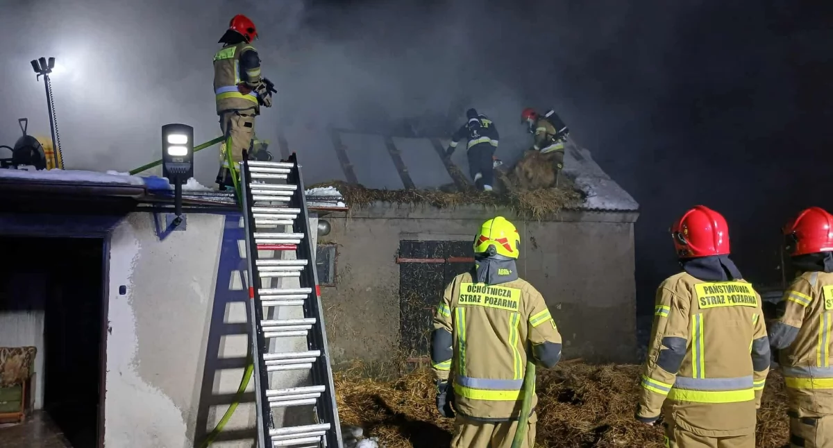 Dom starszego mężczyzny spłonął w Smogorzewie. Z ogniem walczyło 8 zastępów straży (zdjęcia)