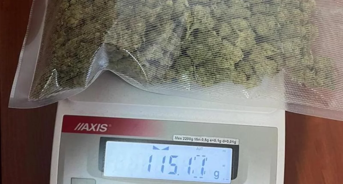 115 g marihuany w torbie na prezenty u 19-latka z gminy Łabiszyn 
