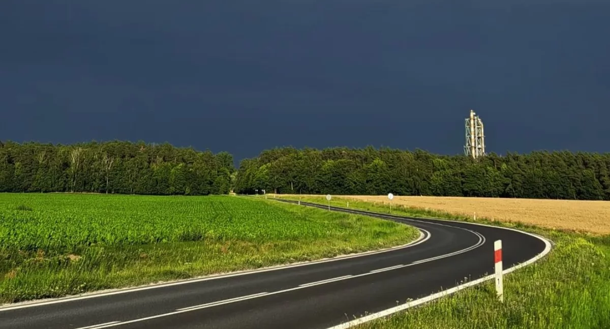 Cień 149 klonów między Barcinem a Pakością