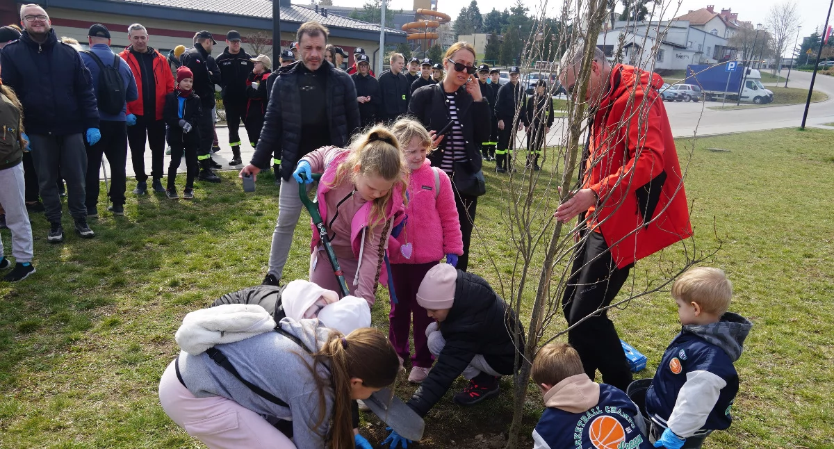 Szóste wiosenne sprzątanie Barcina. Na pamiątkę posadzili dąb