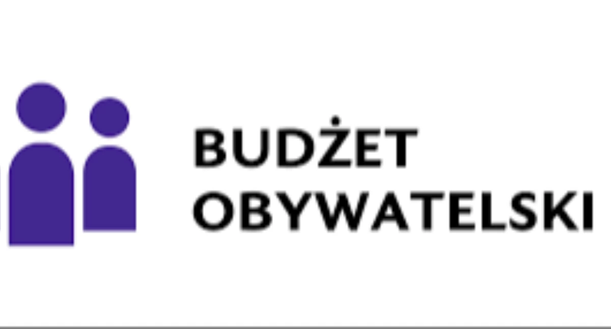 Łabiszyńscy radni nie chcą obywatelskiego budżetu. Rządzić musi jedna osoba