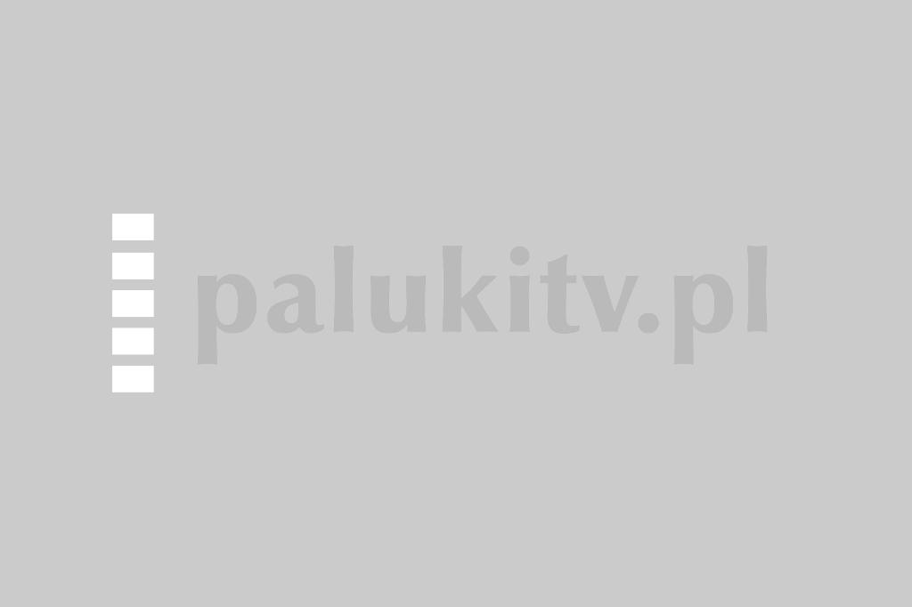 palukitv.pl w nowej szacie