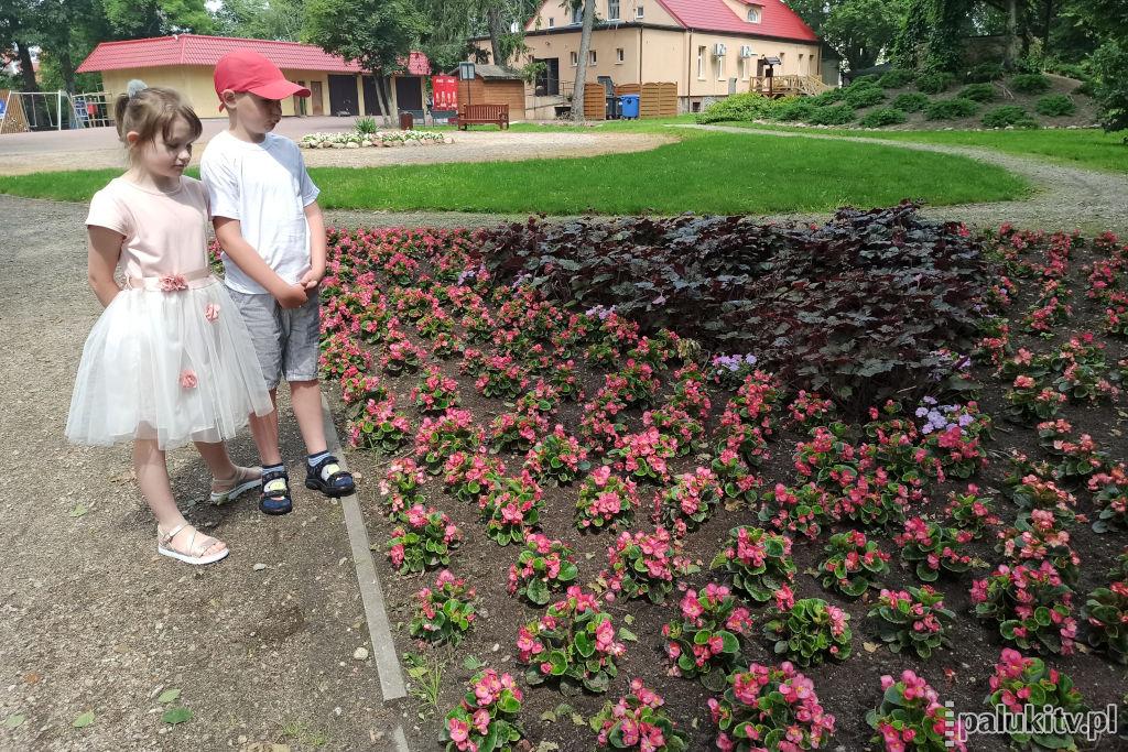 Kolorowo i kwitnąco