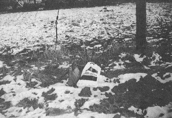Egzekucja dokonana na Niemcach w Rogowie w styczniu 1945 roku