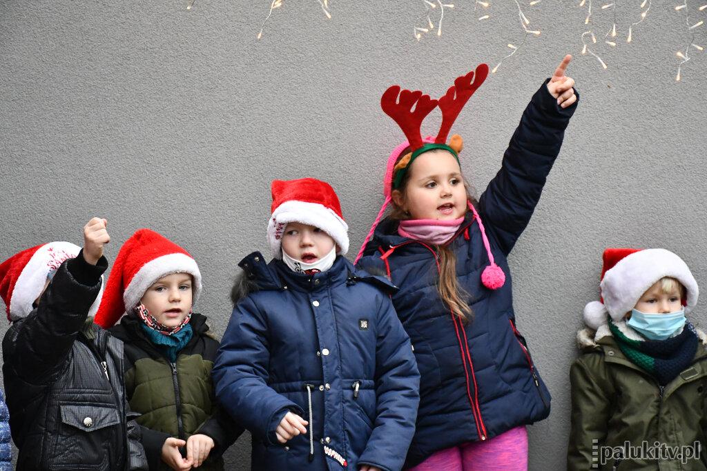 Pomoc dla Celinki, choinki dla szkoły