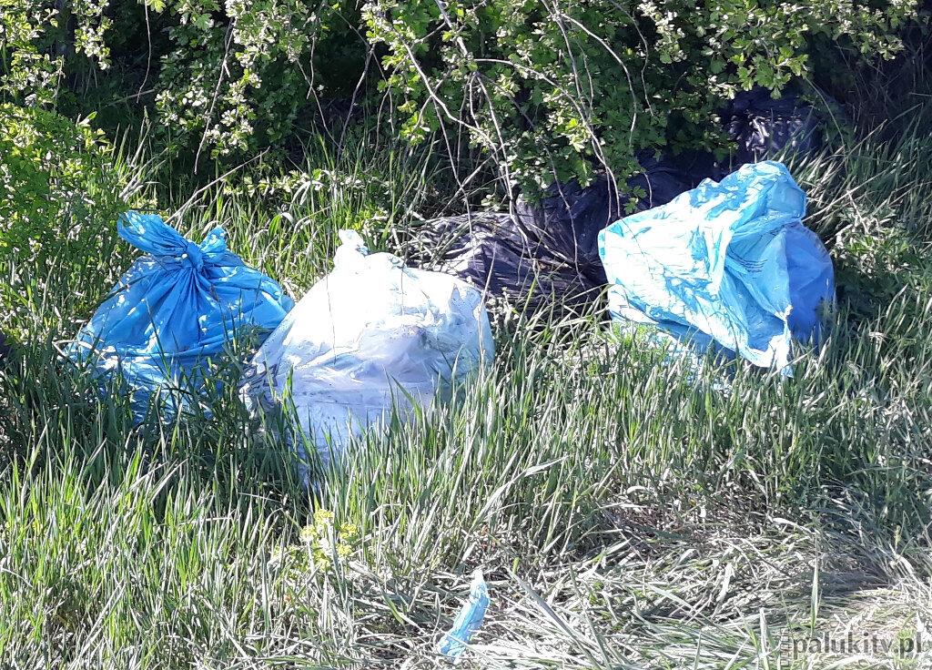 Wygrał droższy, bo tańszy nie miał doświadczenia