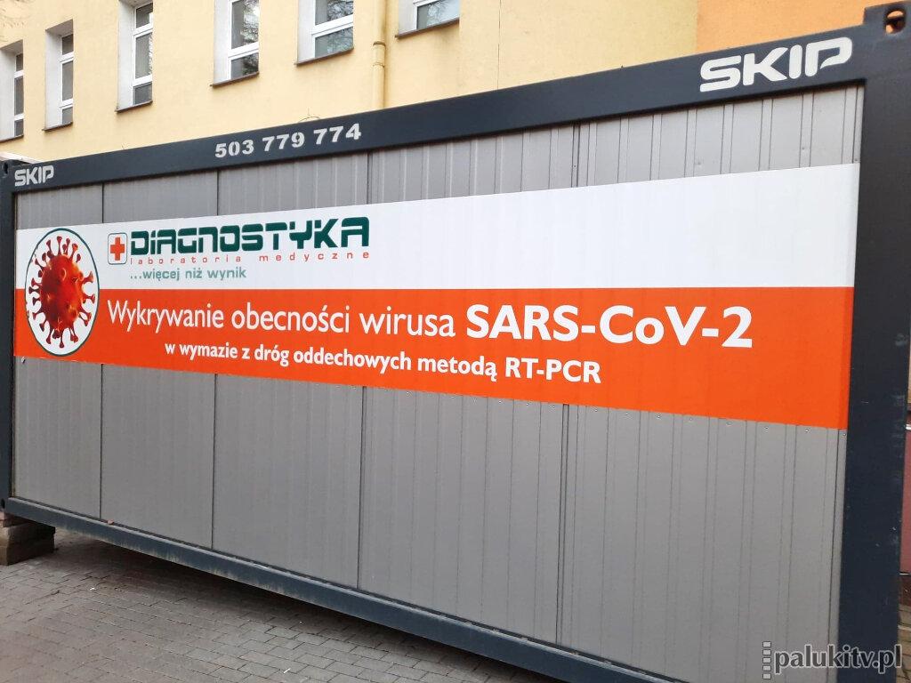 5% z pozytywnym wynikiem