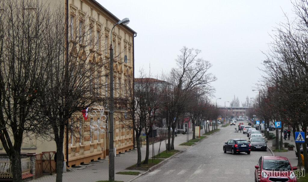 Wizja jarzębin