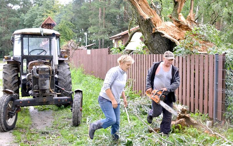 Kolejna nawałnica, kolejne powalone drzewa
