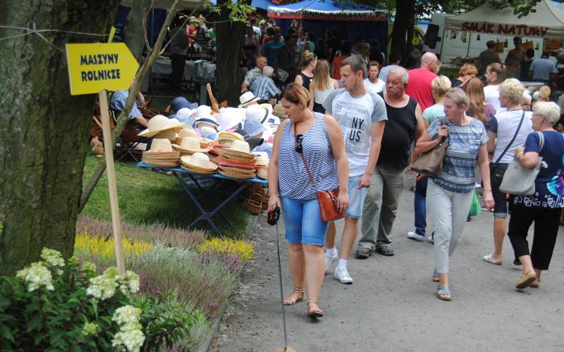 Nowoczesne rolnictwo w Żninie