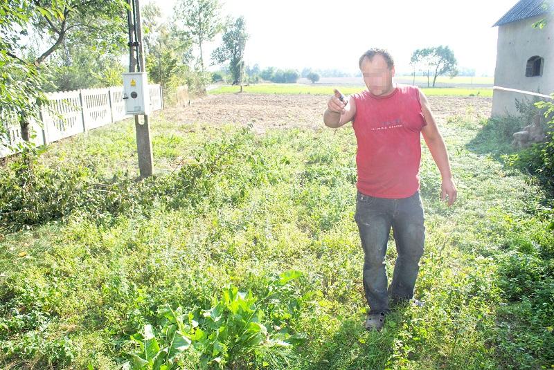 Oskarżony o znęcanie się nad zwierzętami ze szczególnym okrucieństwem