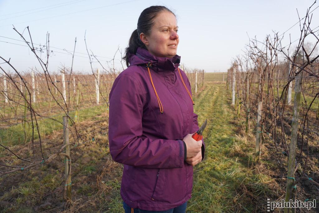 Wino z lokalnej winnicy po drugiej stronie jeziora
