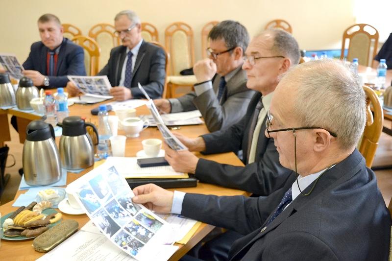 Meble, sedesy, martwe koty i lisy