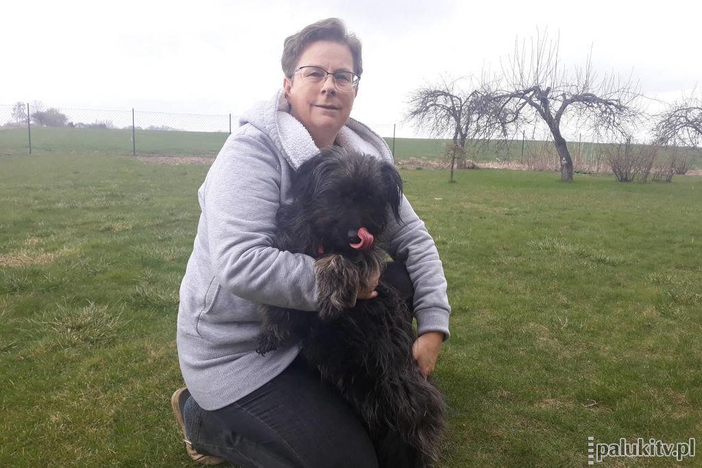 Przyjaciel z ogłoszenia