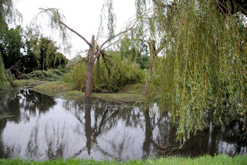 Nie wchodzić do parków, nie zbierać drewna