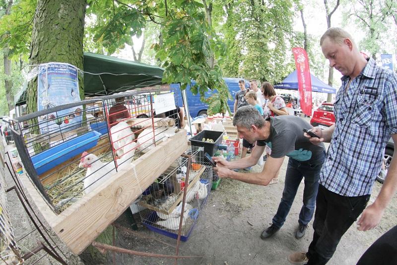 Targi w cieniu komina