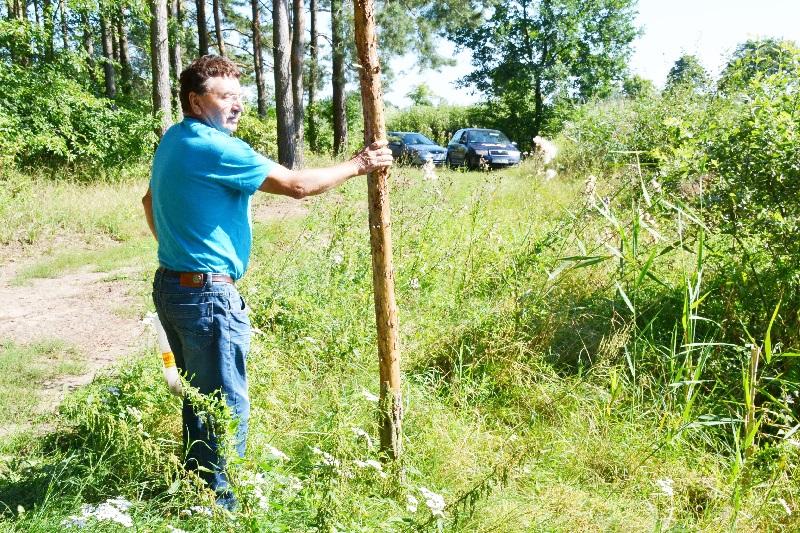 Niczyje słupy na urokliwej działce