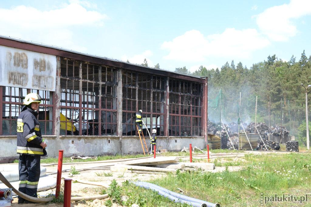 Wyniki pomiarów WIOŚ