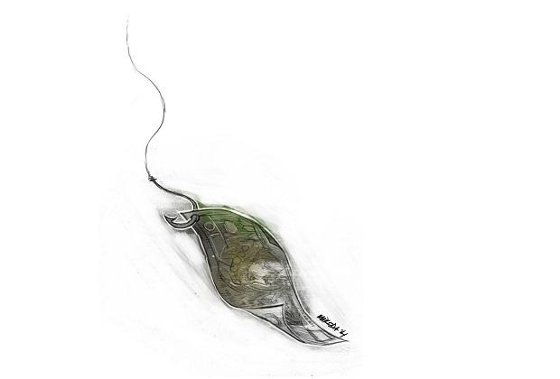 Dopłaty do materiału siewnego