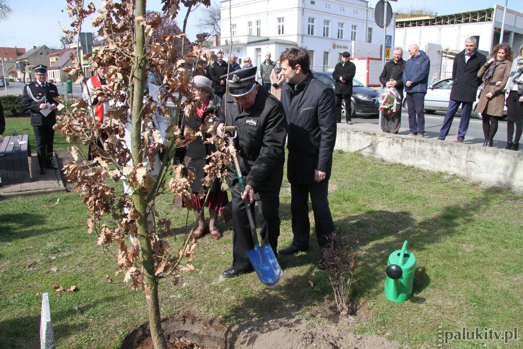 Czwarty Dąb Pamięci