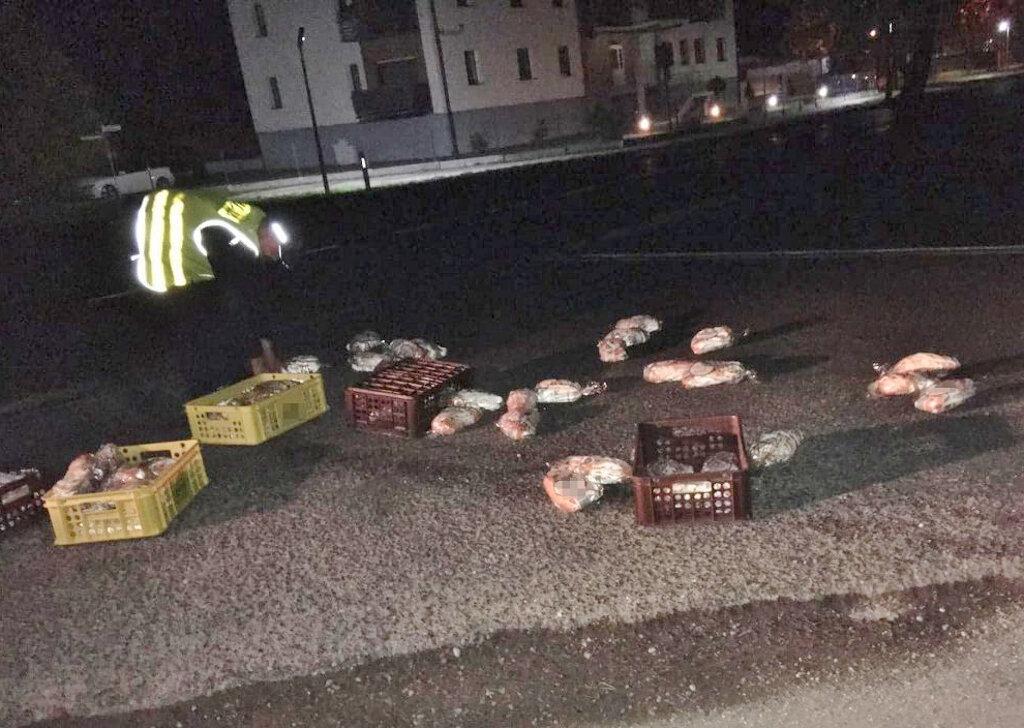 Nietypowa interwencja łabiszyńskich policjantów