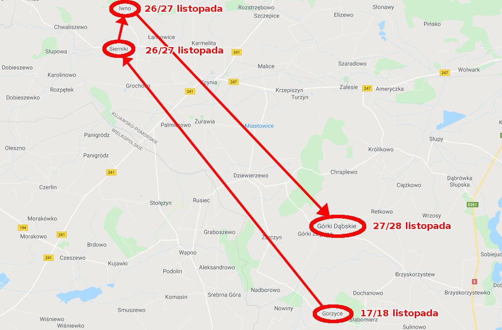Ponad 300 krów było w niebezpieczeństwie